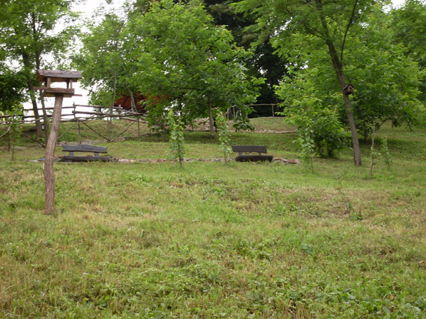 Vrdnik - ranc Platan, jun 2006 12 A.jpg